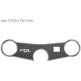 Carbonový polep brýlí Print - Honda VTR SP1-VTR SP2 výprodej